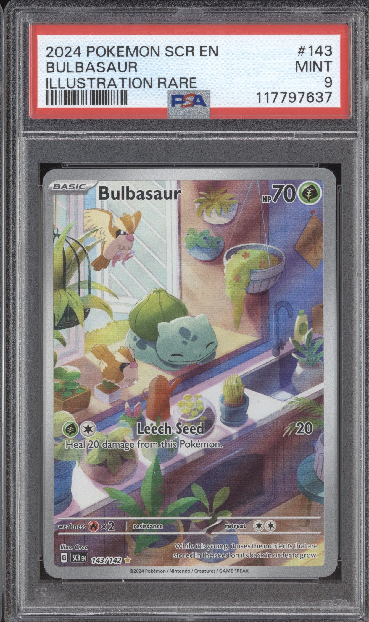 Bulbasaur 2024 Pokemon Stellar Crown 143/142 Illustration Rare PSA 9