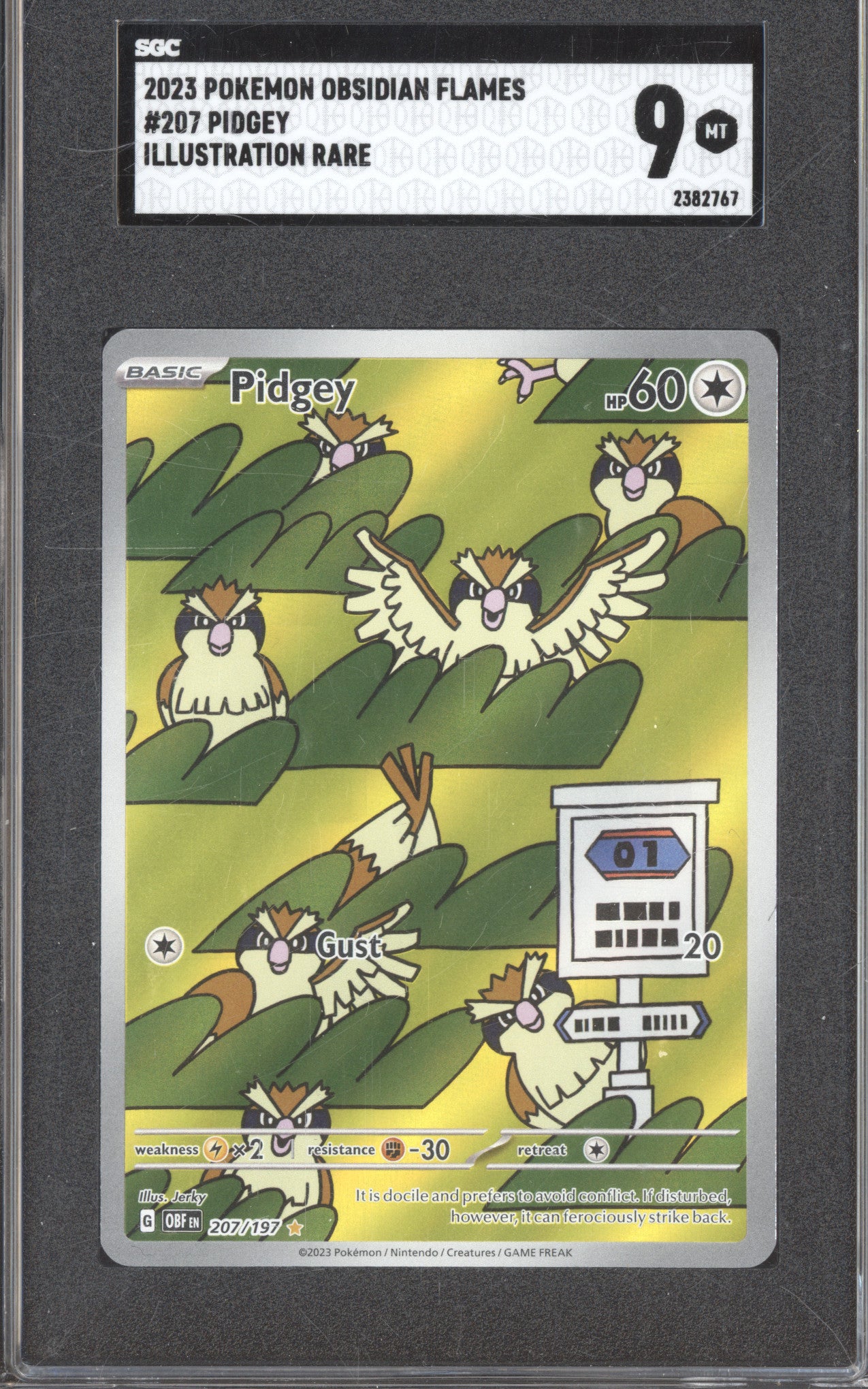 2023 Pokemon Obsidian Flames OBF 207 Pidgey Illustration Rare SGC 9
