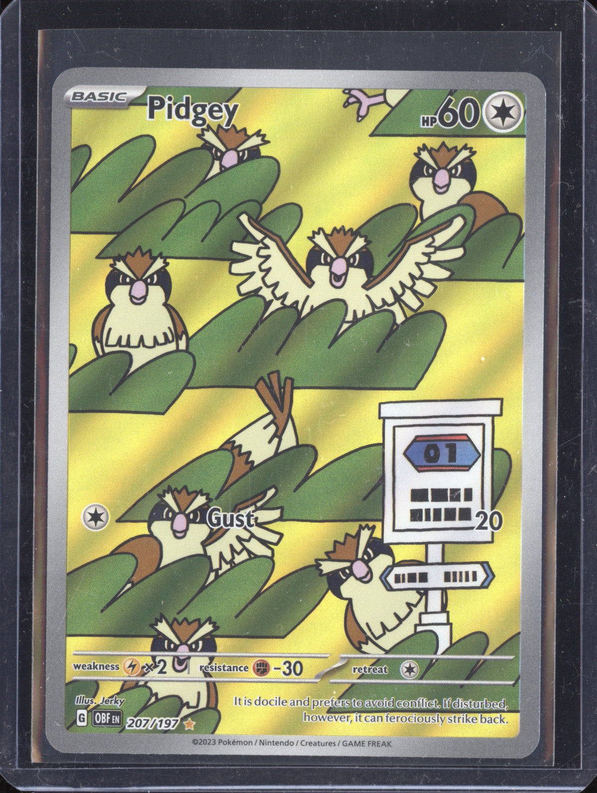 Pidgey 2023 Pokemon Obsidian Flames 207/197 Illustration Rare