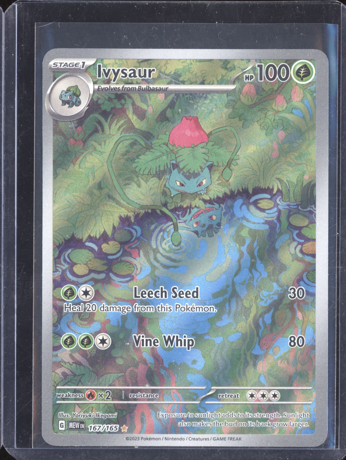 Ivysaur 2023 Pokemon 151 167/165 Illustration Rare