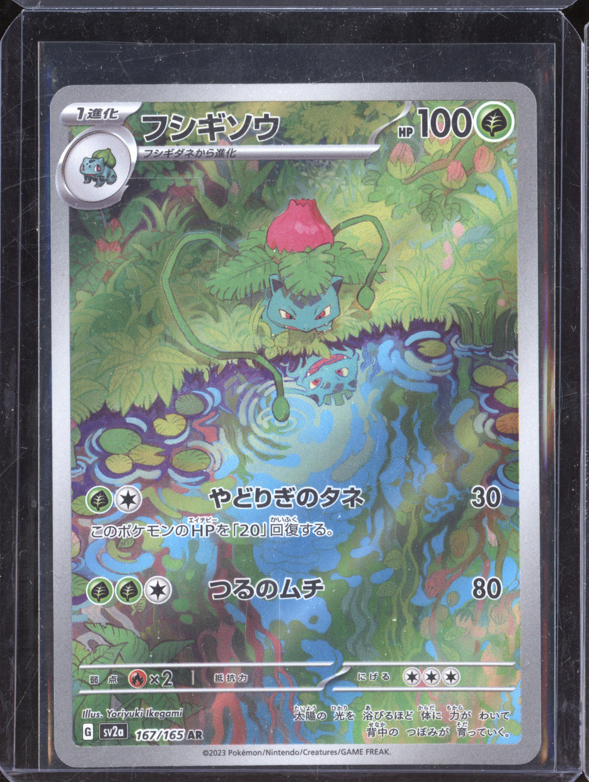 Ivysaur 2023 Pokemon 151 JPN 167/165 Art Rare