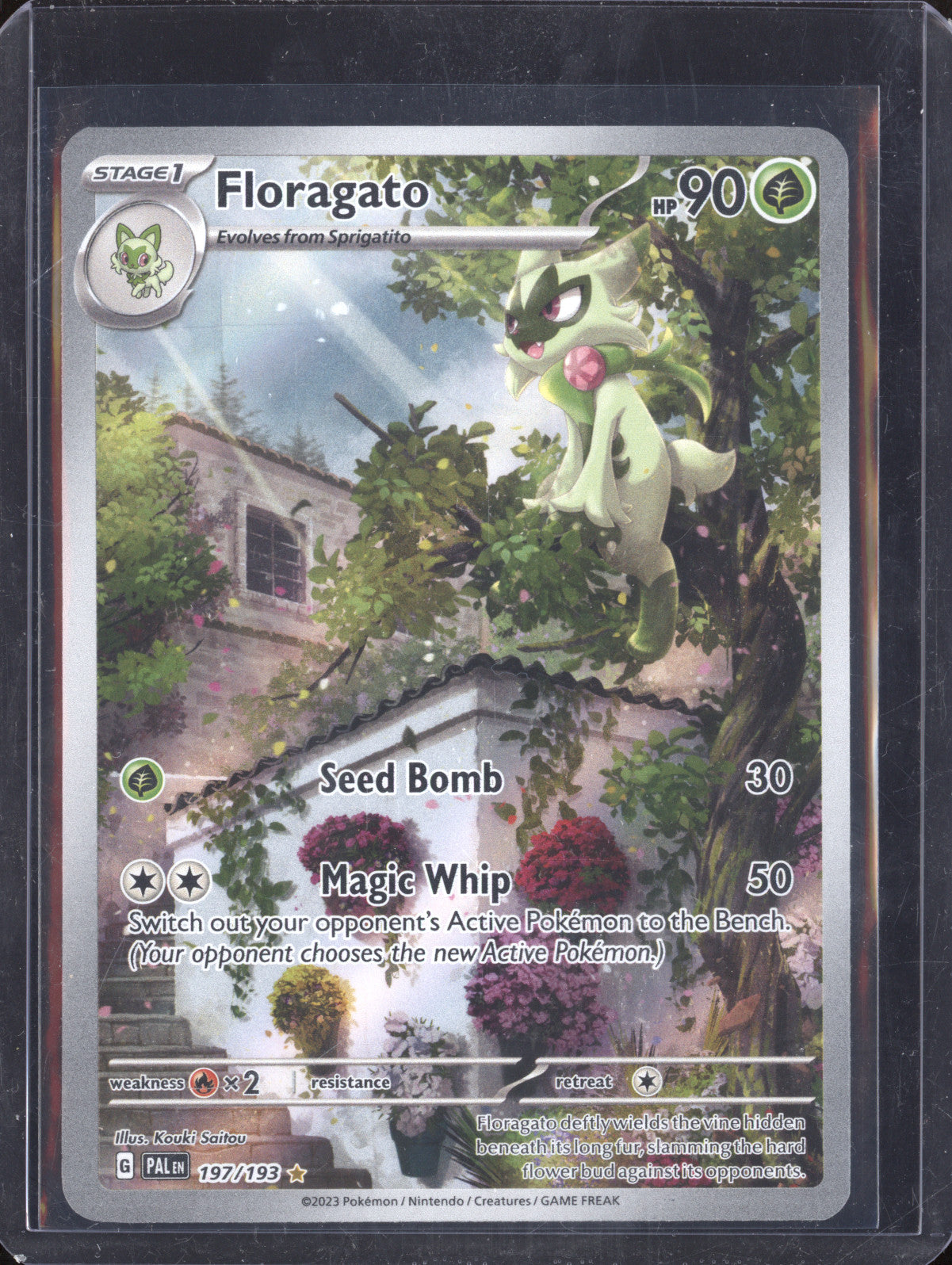 Floragato 2023 Pokemon Paldea Evolved 197/193 Illustration Rare