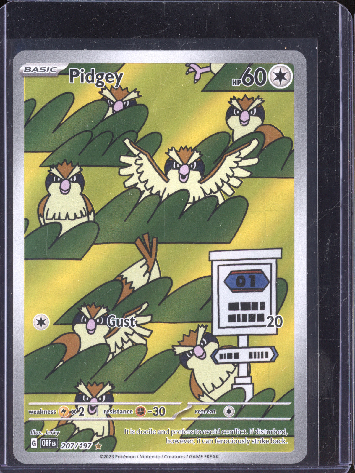 Pidgey 2023 Pokemon Obsidian Flames 207/197 Illustration Rare