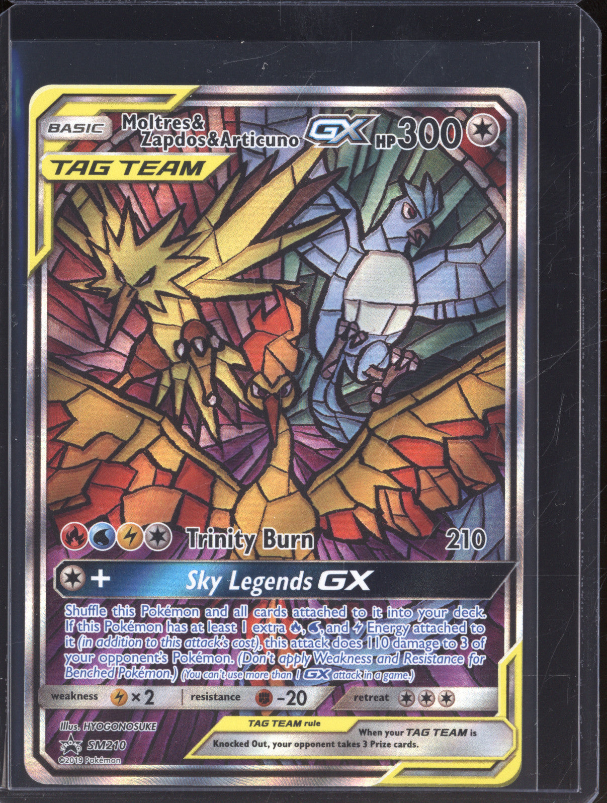 2019 Pokemon Sun & Moon SM210 Moltres & Zapdos & Articuno Promo