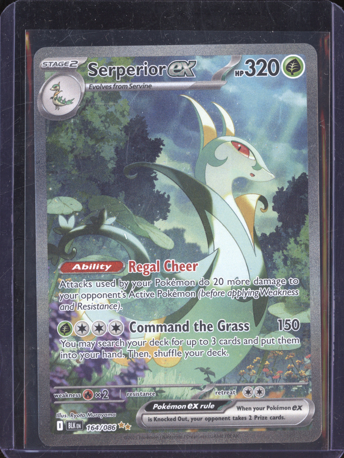 Serperior ex 2025 Pokemon Black Bolt 164/086 Special Illustration Rare