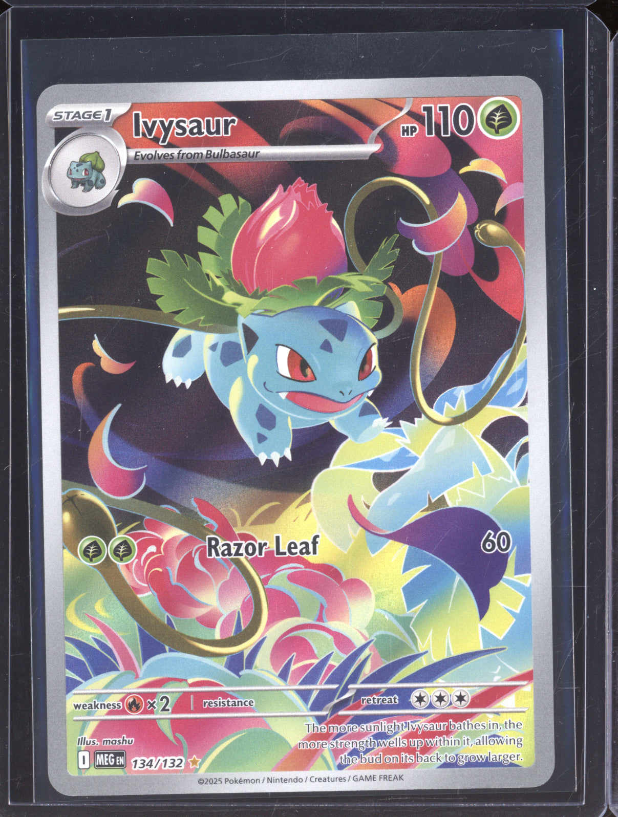 Ivysaur 134/132 Illustration Rare Mega Evolution Pokemon