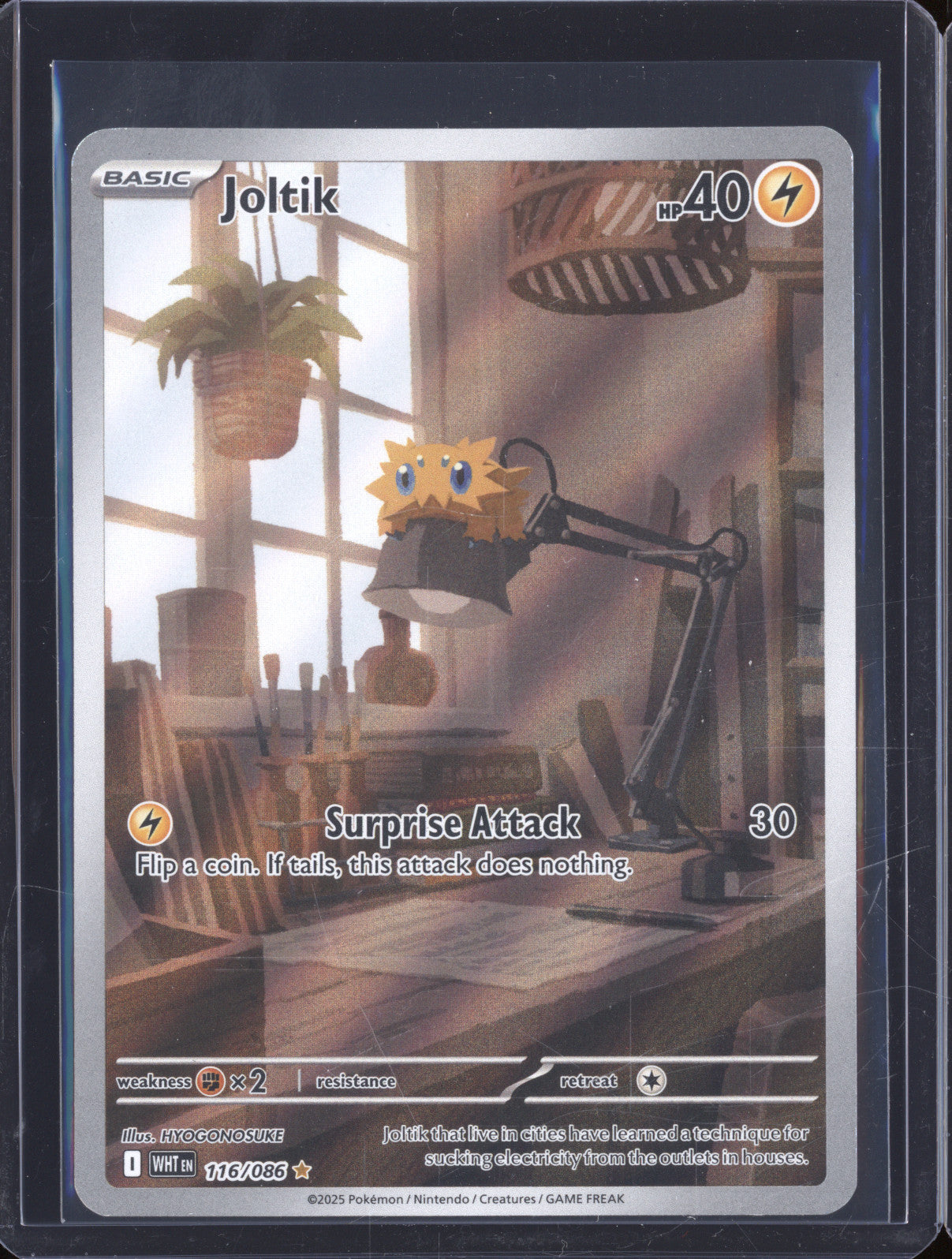 Joltik 2025 Pokemon White Flare WHT 116/086 Illustration Rare