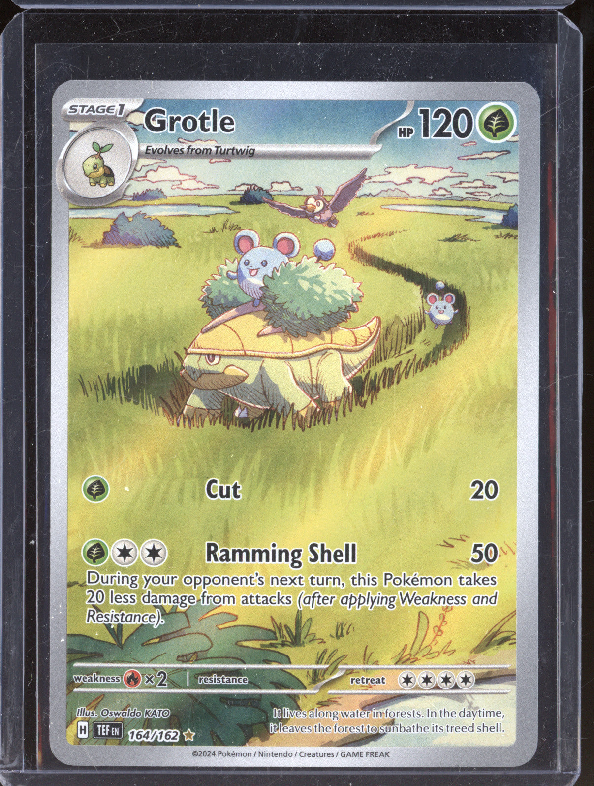 Grotle 2024 Pokemon Temporal Forces TEF 164/162 Illustration Rare