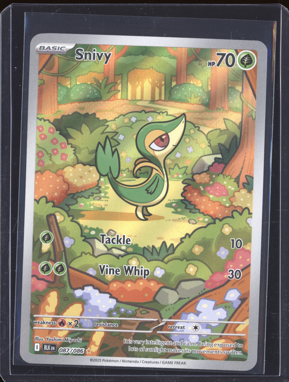 Snivy 2025 Pokemon Black Bolt 087/086 Illustration Rare