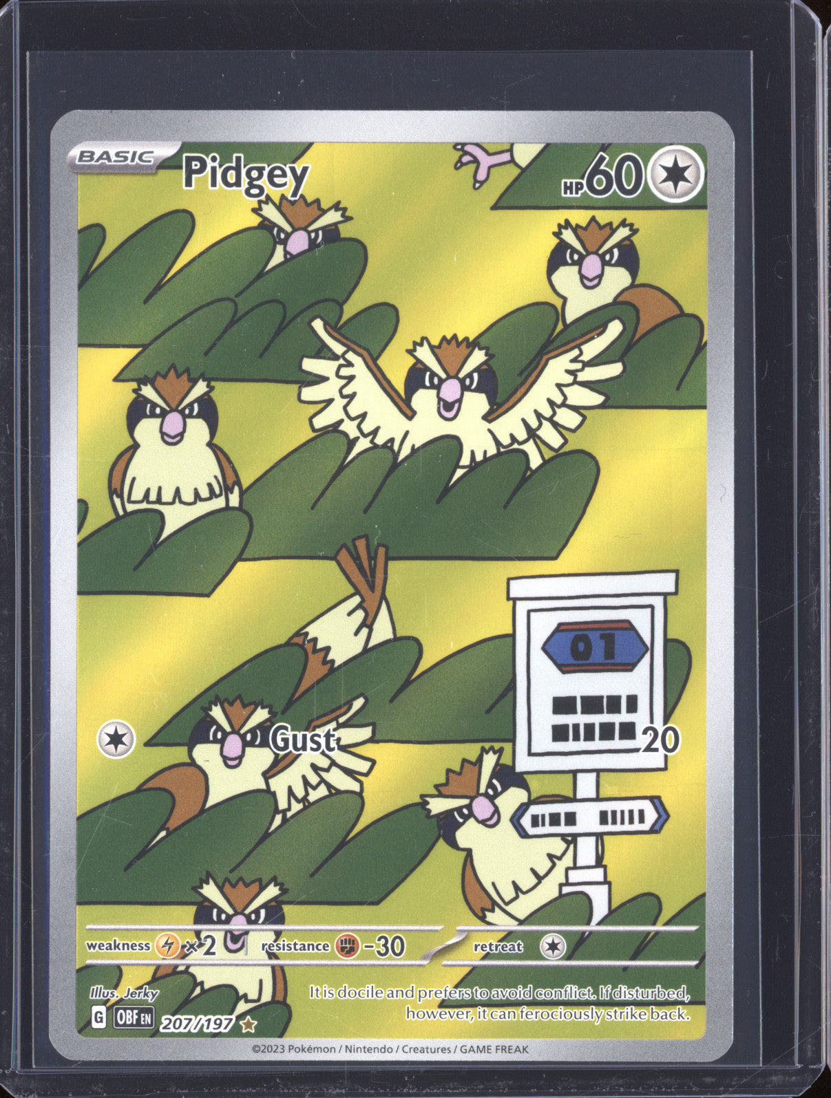 Pidgey 2023 Pokemon Obsidian Flames OBF 207/197 Illustration Rare