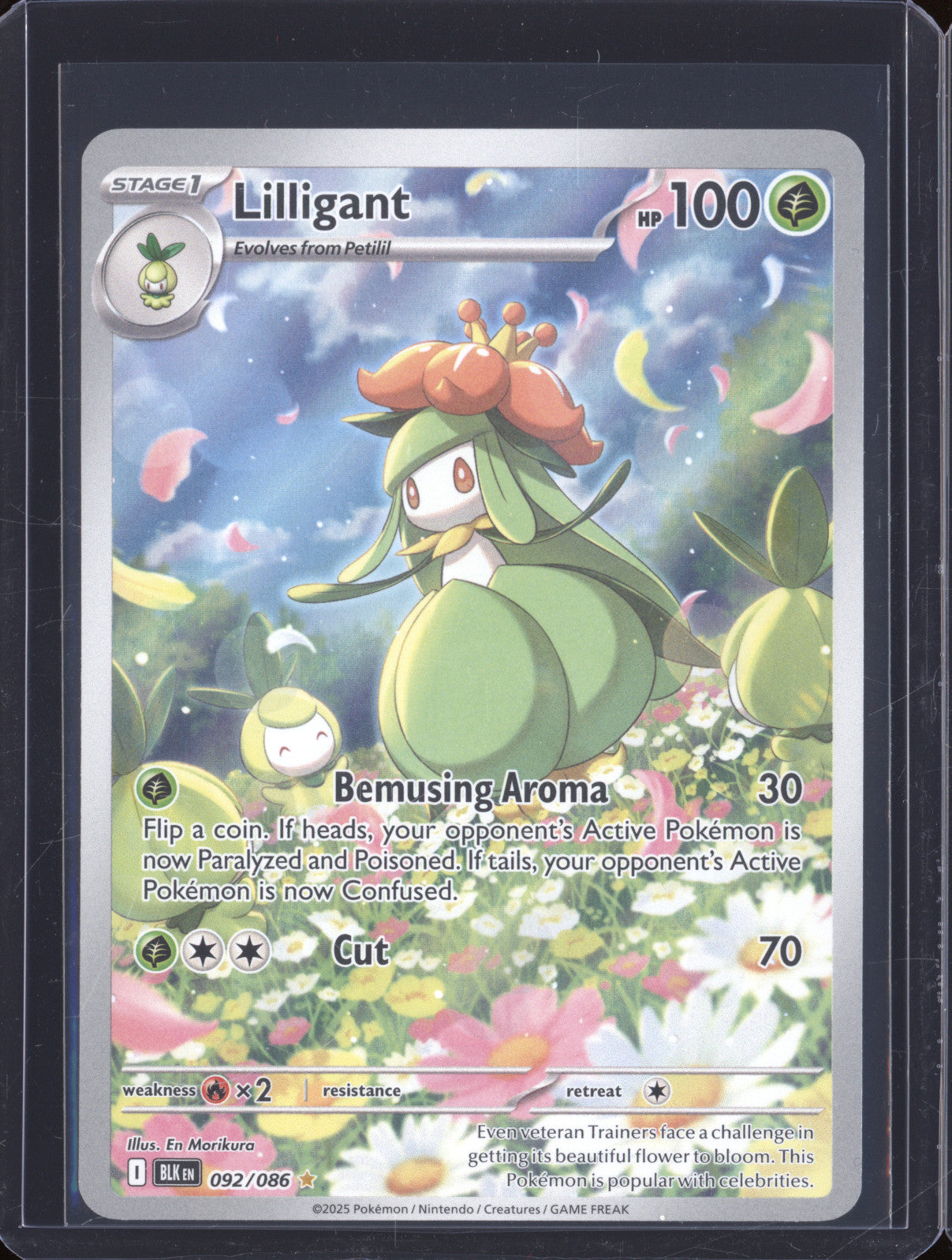 Lilligant 2025 Pokemon Black Bolt BLK 092/086 Illustration Rare