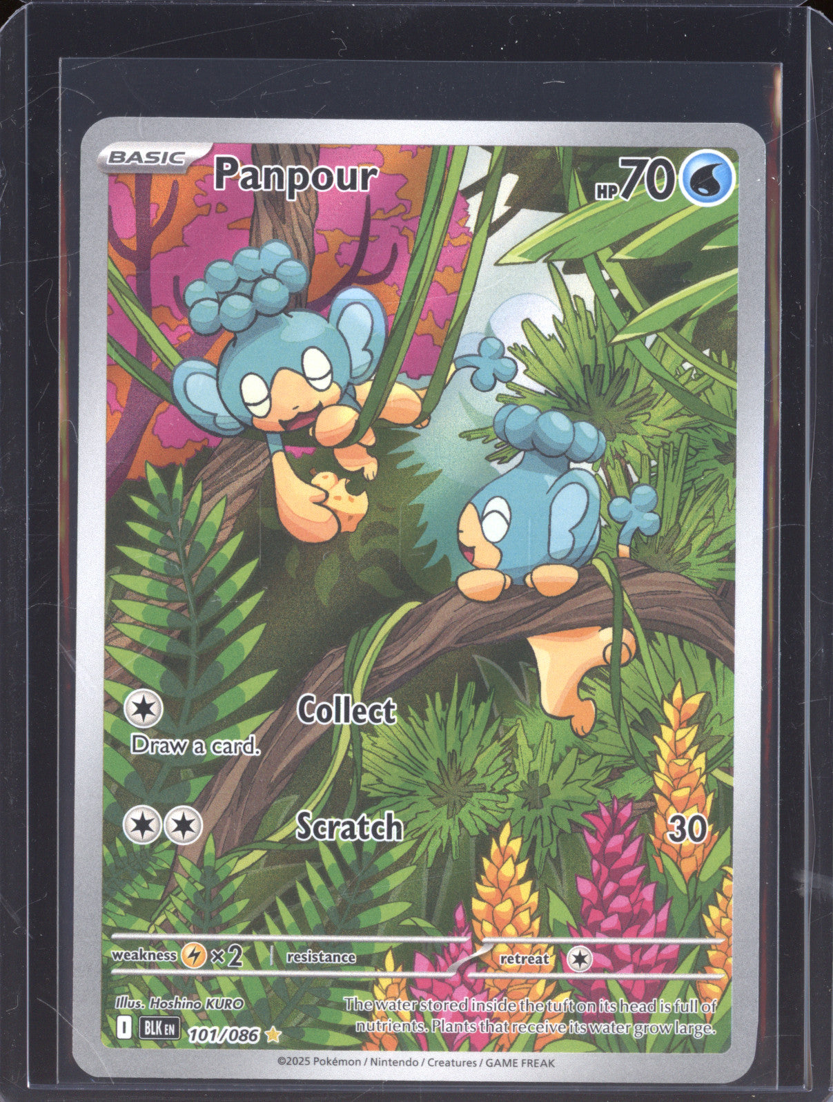 Panpour 2025 Pokemon Black Bolt BLK 101/086 Illustration Rare