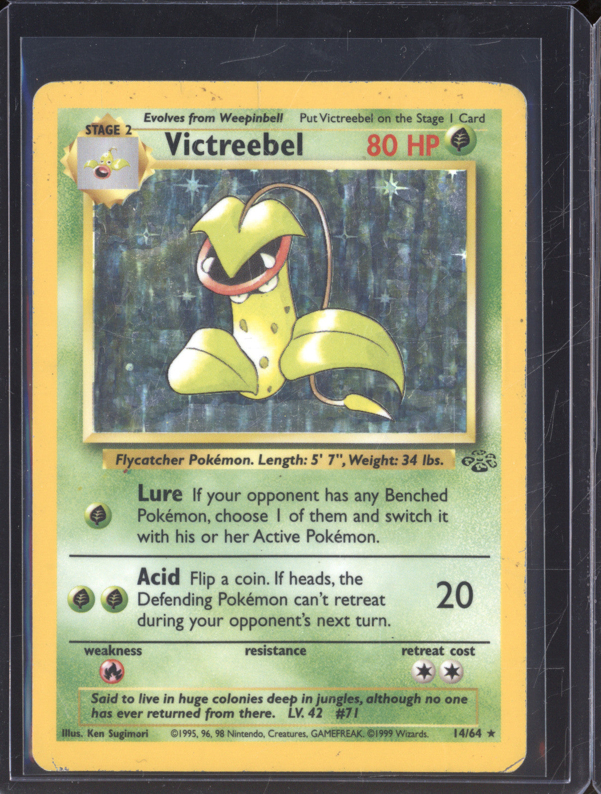 1999 Pokemon Jungle 14/64 Victreebel Holo Rare