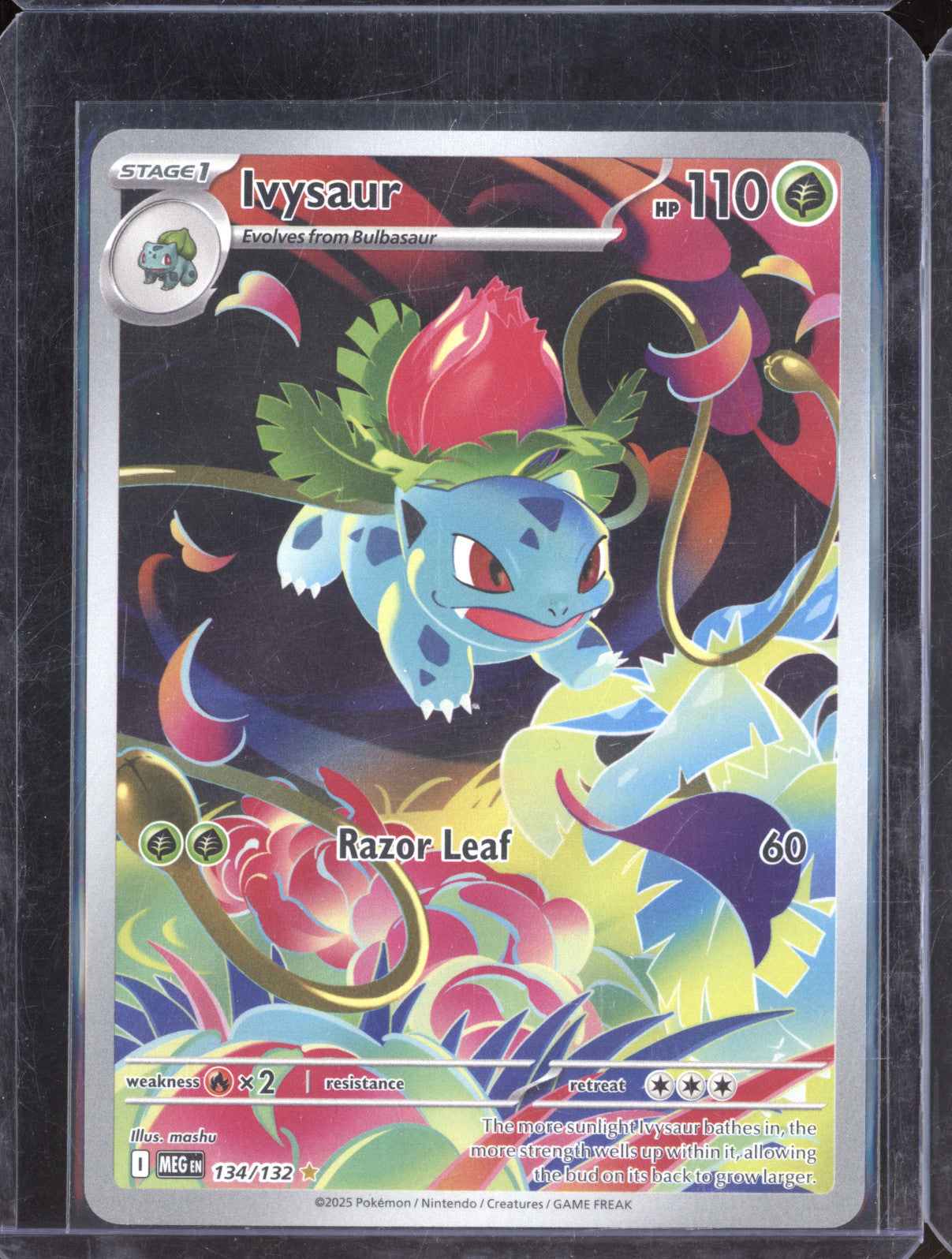2025 Pokemon Mega Evolution 134/132 Ivysaur Illustration Rare