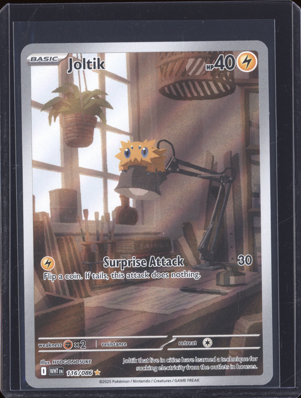 Joltik 2025 Pokemon White Flare WHT 116/086 Illustration Rare