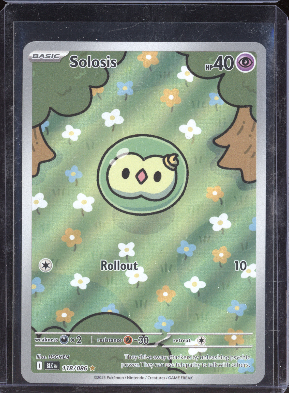 Solosis 2025 Pokemon Black Bolt BLK 118/086 Illustration Rare