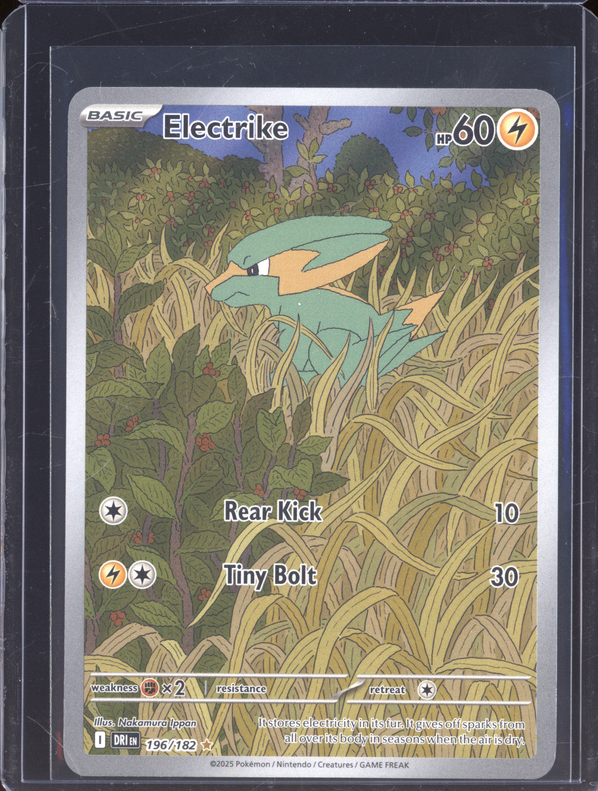 Electrike 2025 Pokemon Destined Rivals DRI 196/182 Illustration Rare