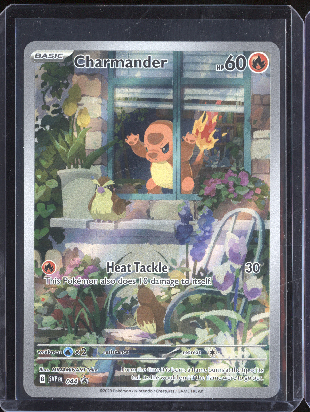 Charmander 2023 Pokemon Scarlet & Violet Promos 44 Black Star Promo