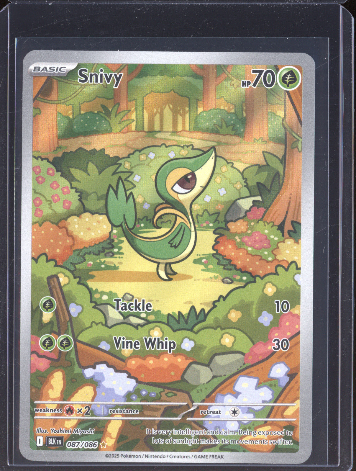 Snivy 2025 Pokemon Black Bolt 087/086 Illustration Rare