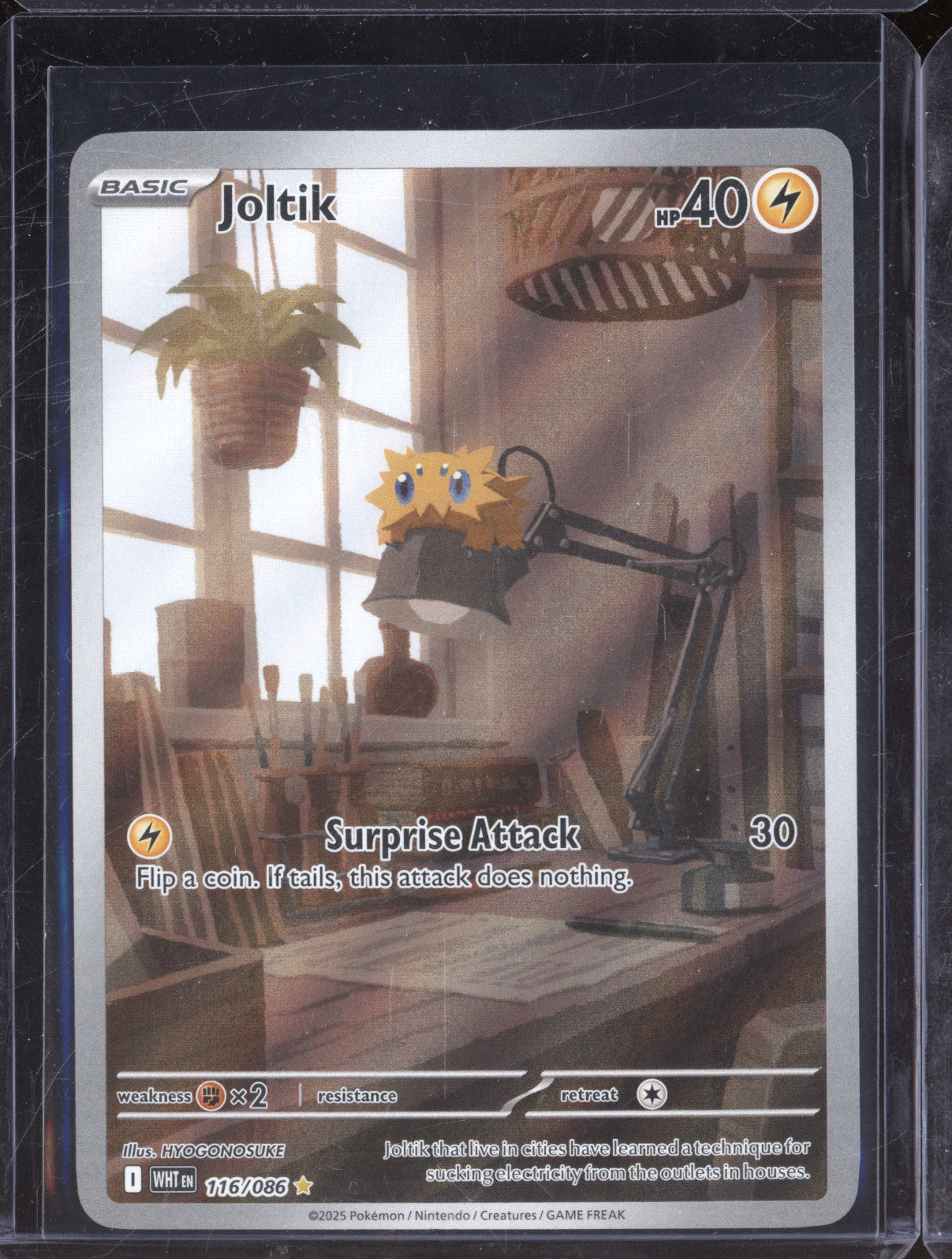 Joltik 2025 Pokemon White Flare WHT 116/086 Illustration Rare