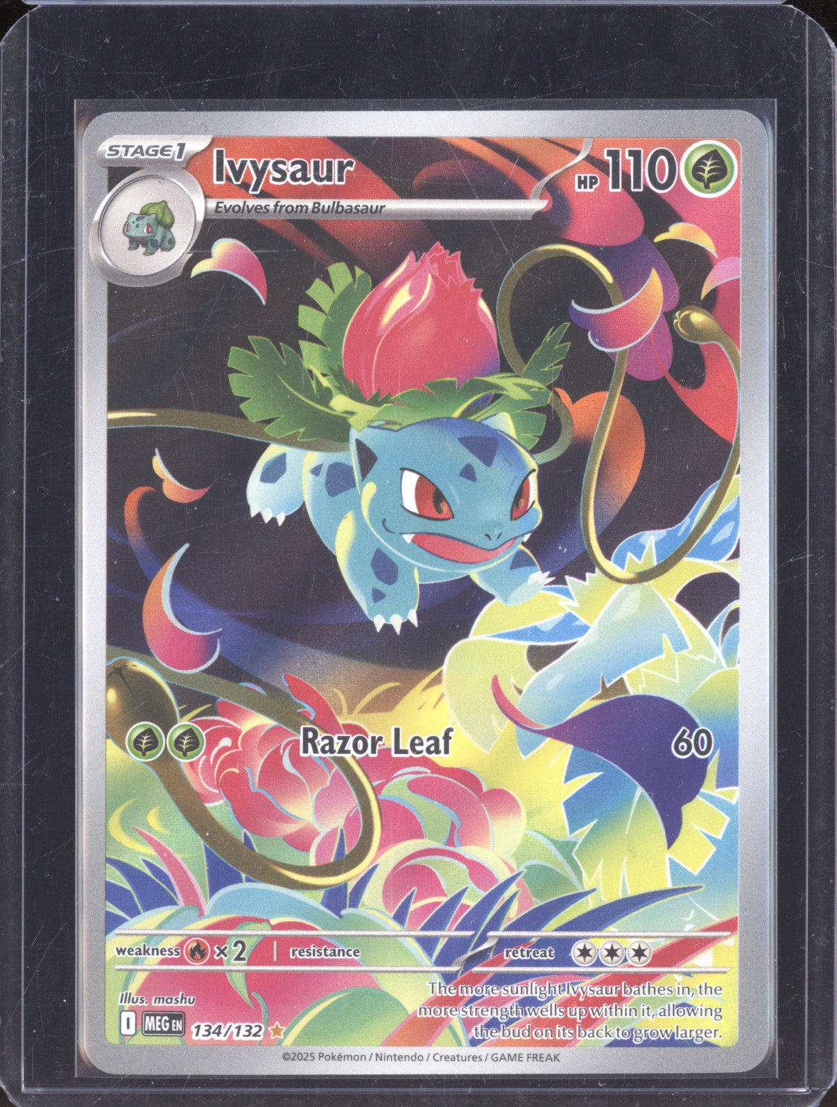 Ivysaur 134/132 Illustration Rare Mega Evolution Pokemon