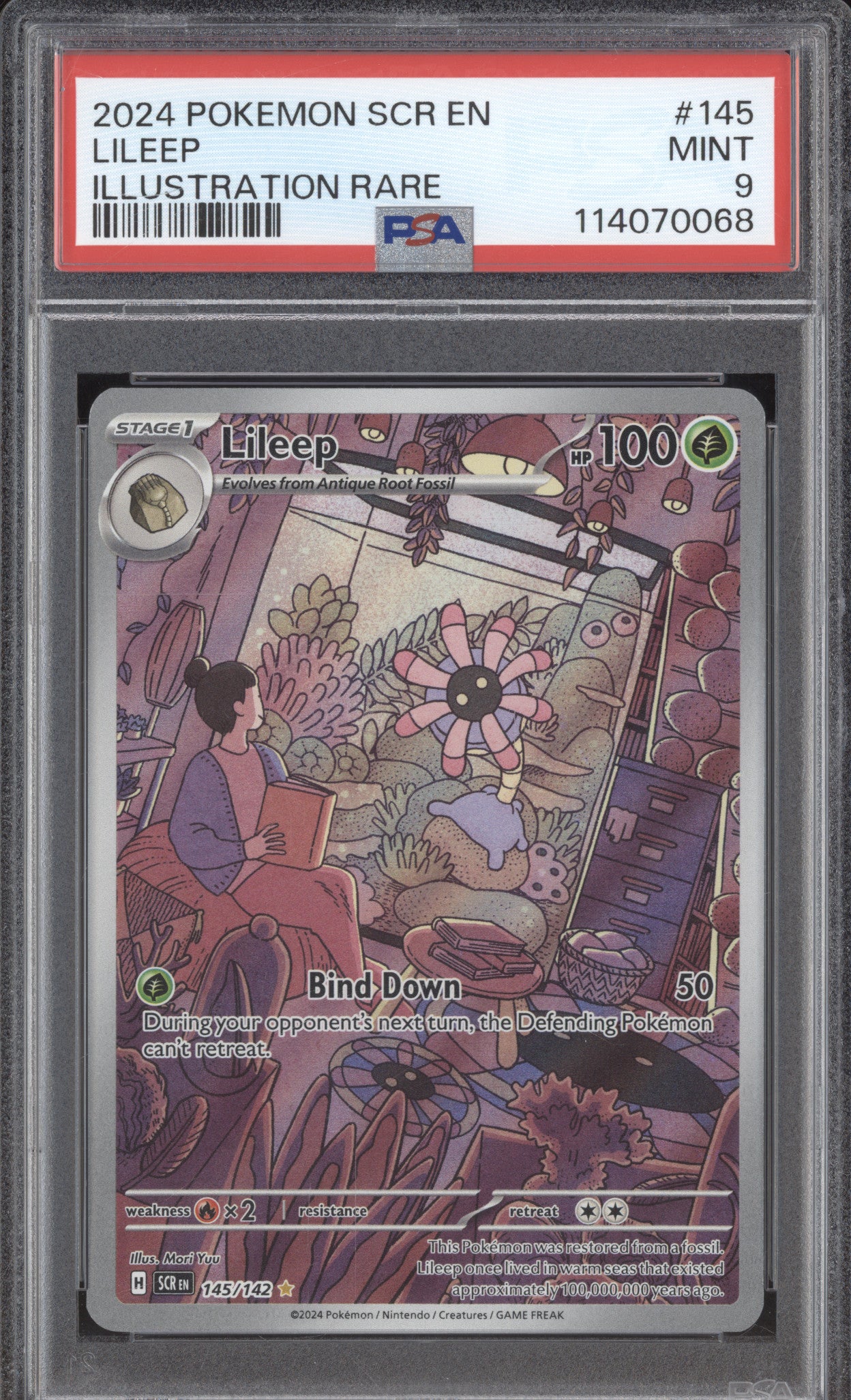 Lileep 2024 Pokemon Stellar Crown SCR 145/142 Illustration Rare PSA 9