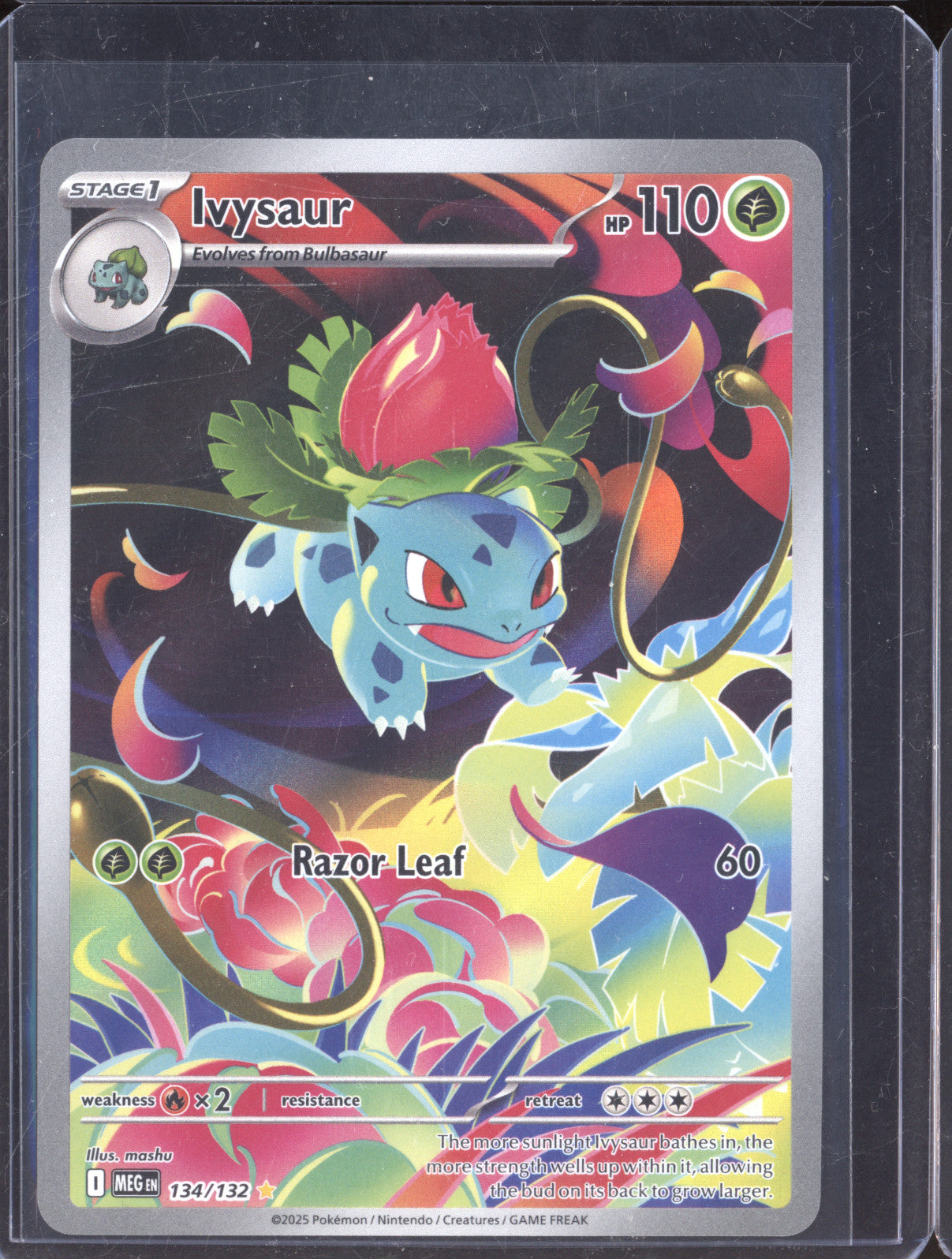 Ivysaur 134/132 ME01: Mega Evolution - Pokemon