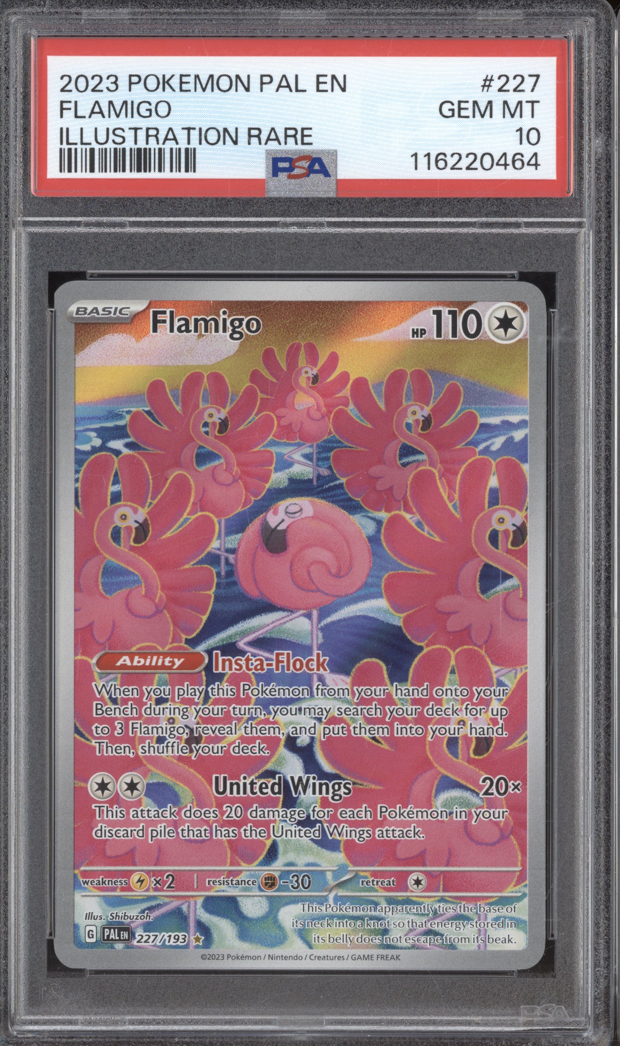 Flamigo 2023 Pokemon Paldea Evolved PAL 227/193 Illustration Rare PSA 10