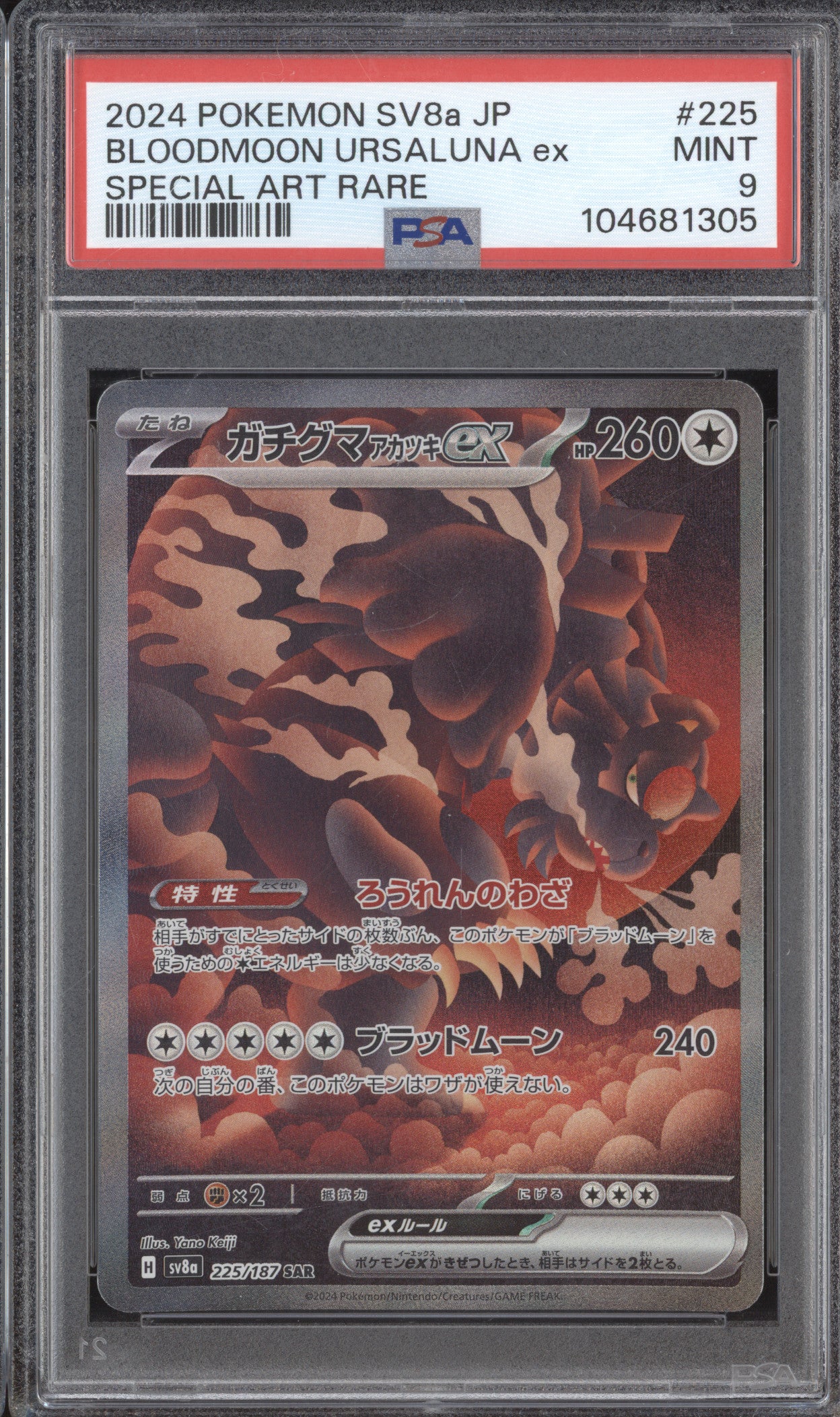 Bloodmoon Ursaluna ex 2024 Pokemon JPN Terastal Fest ex 225/187 SAR PSA 9