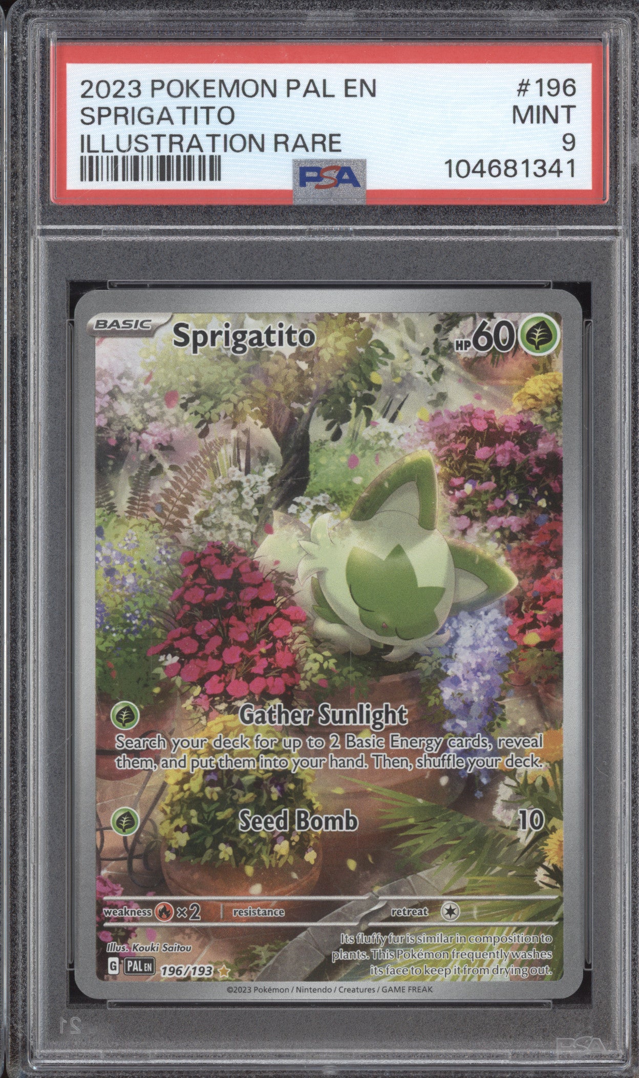 Spirigatito 2023 Pokemon Paldea Evolved 196/193 Illustration Rare PSA 9