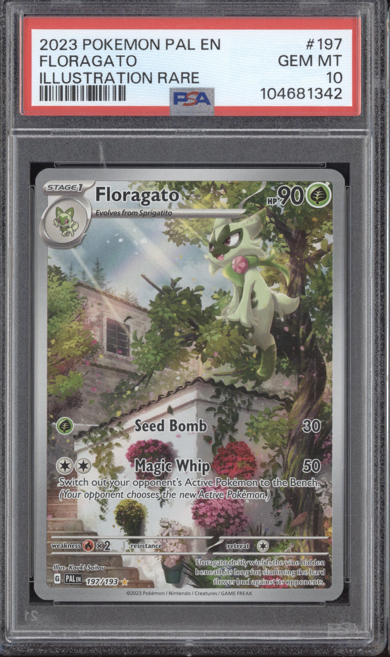 Floragato 2023 Pokemon Paldea Evolved 197/193 Illustration Rare PSA 10