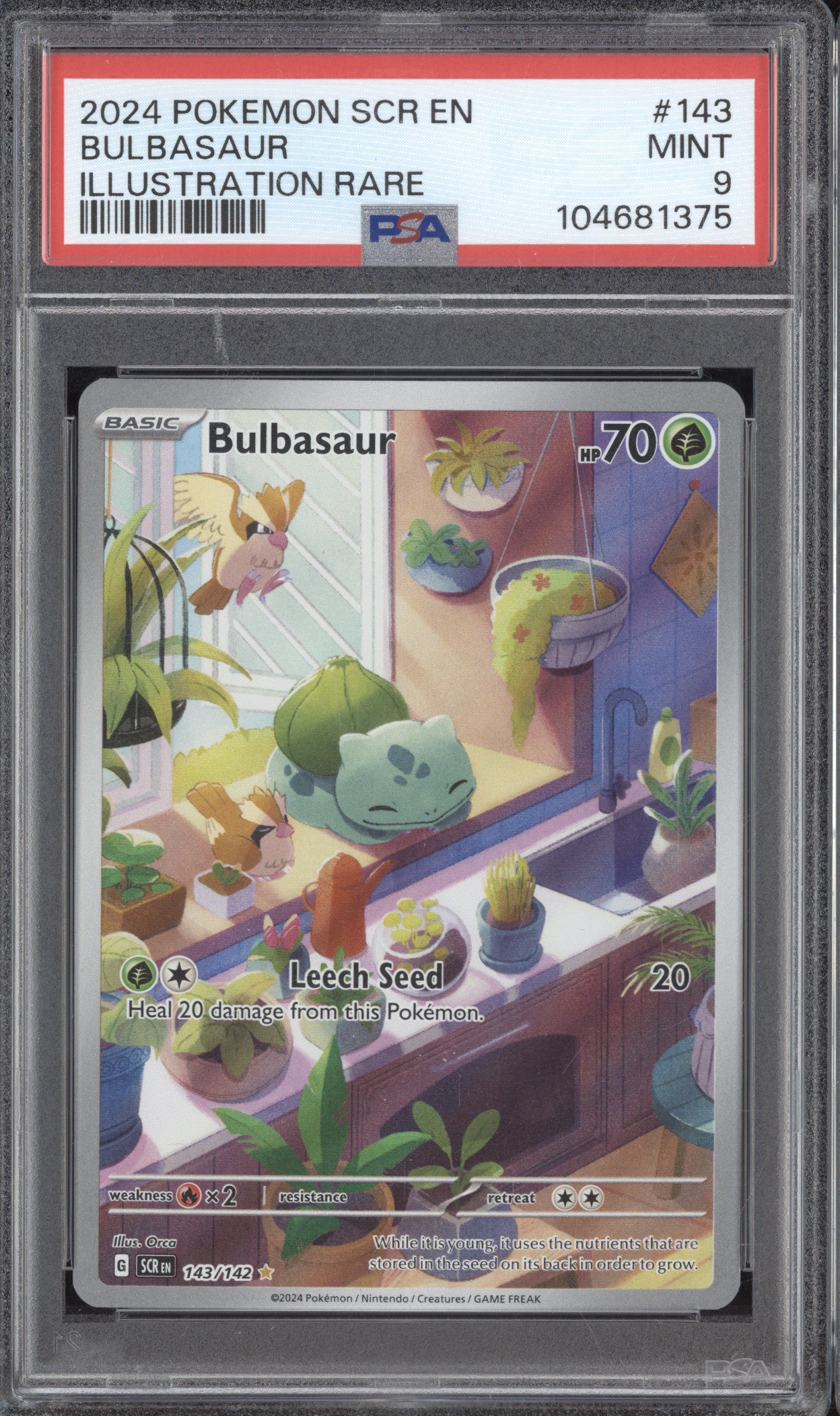 Bulbasaur 2024 Pokemon Stellar Crown 143/142 Illustration Rare PSA 9