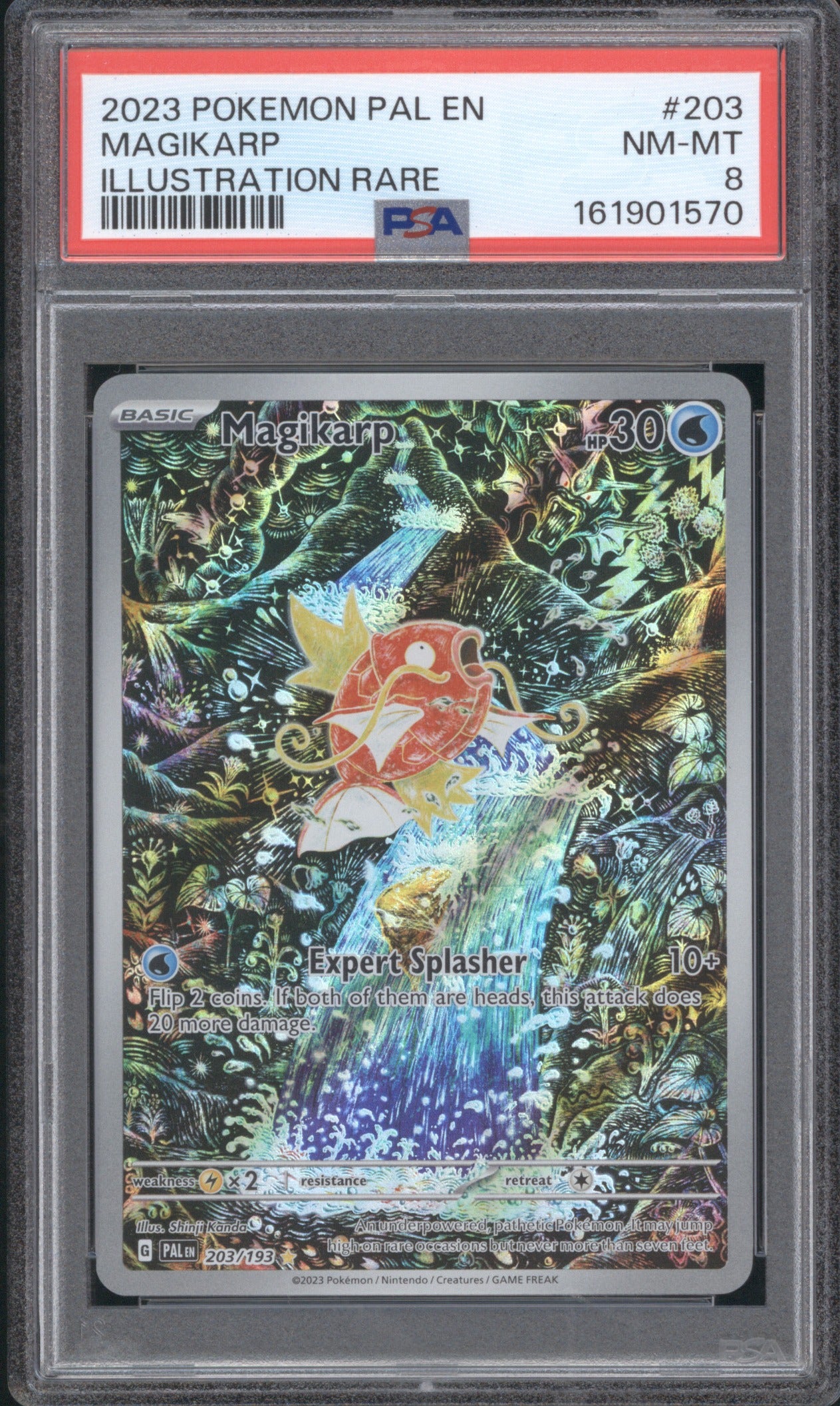 2023 POKEMON PALDEA EVOLVED MAGIKARP 203/193 ILLUSTRATION RARE PSA 8