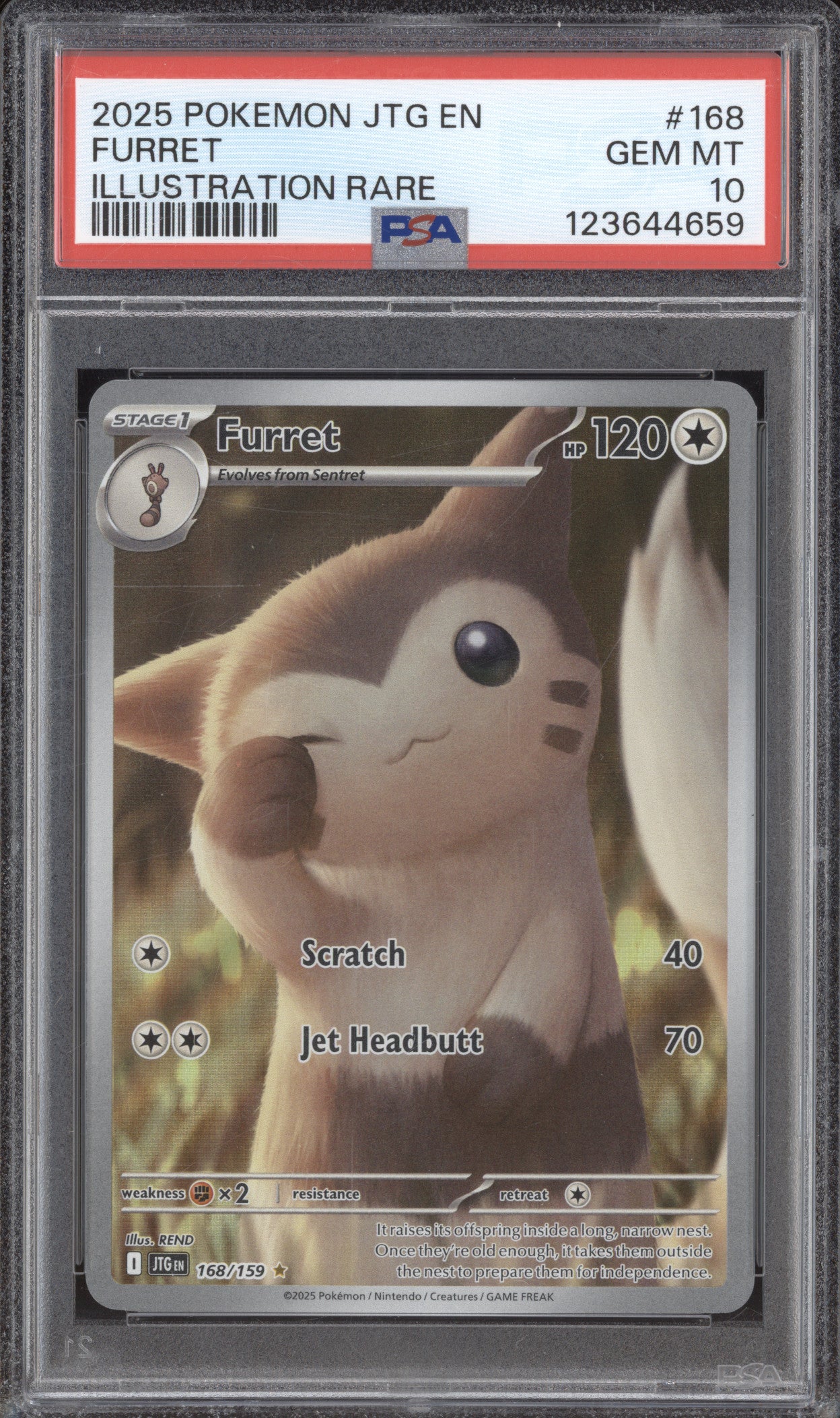 2025 Pokemon Journey Together JTG 168 Furret Illustration Rare PSA 10