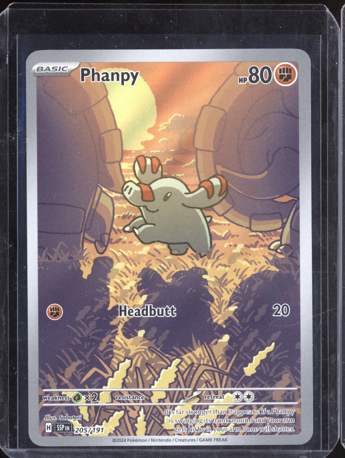 Phanpy 2024 Pokemon Surging Sparks 205/191 Illustration Rare