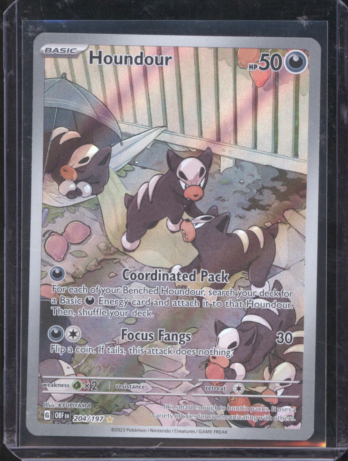 Houndour 2023 Pokémon 204/197 Illustration Rare Obsidian Flames