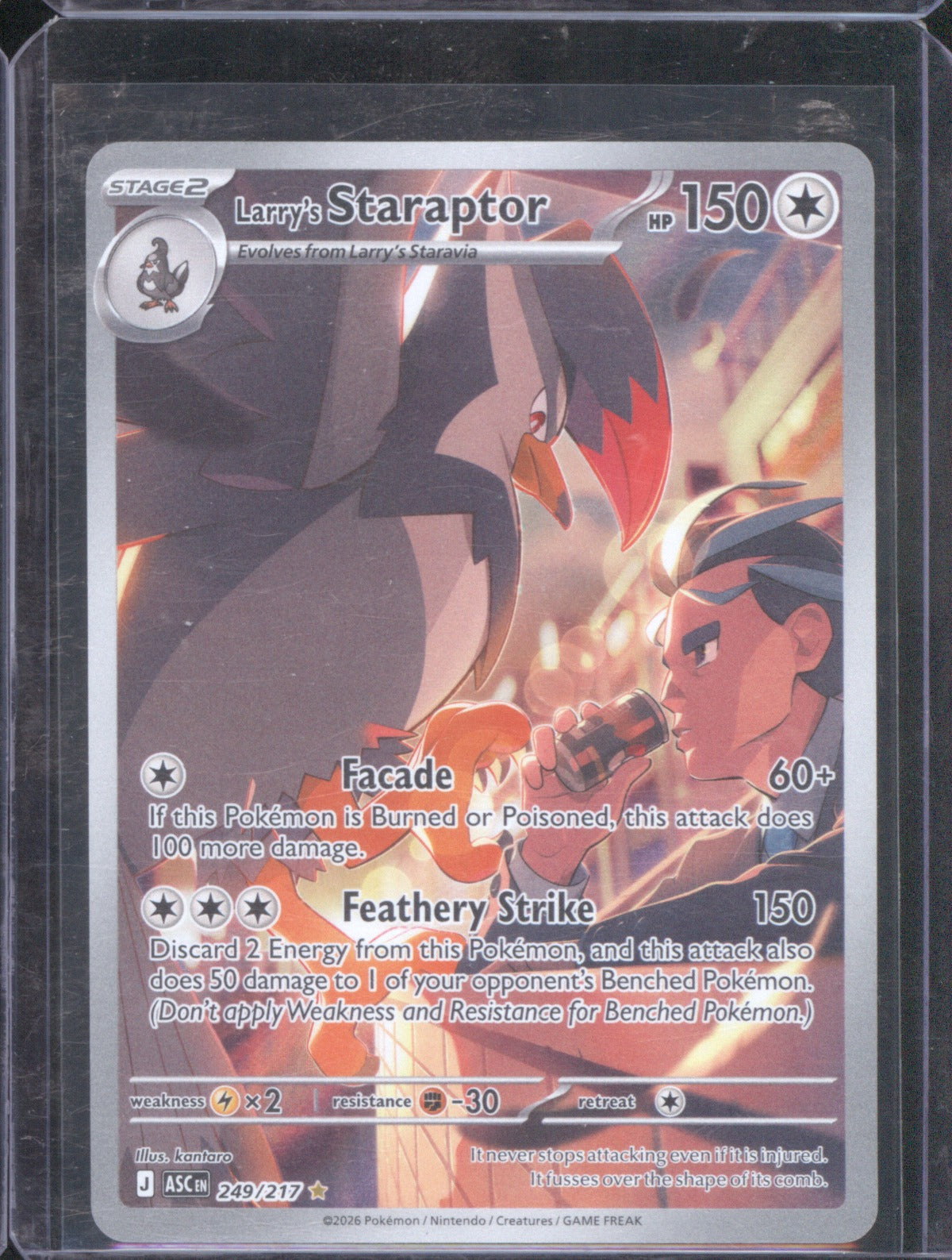 2026 Pokémon Larrys Staraptor 249/217 Illustration Rare Ascended Heroes