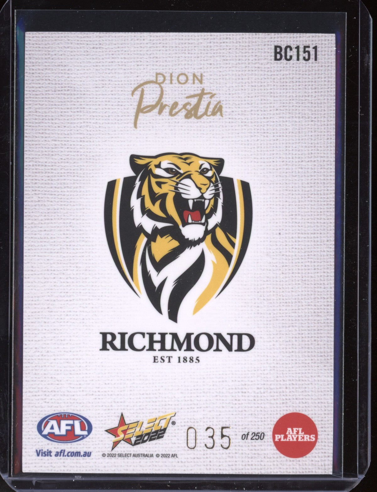 Dion Prestia 2022 Select Footy Stars Blank Canvas 35/250