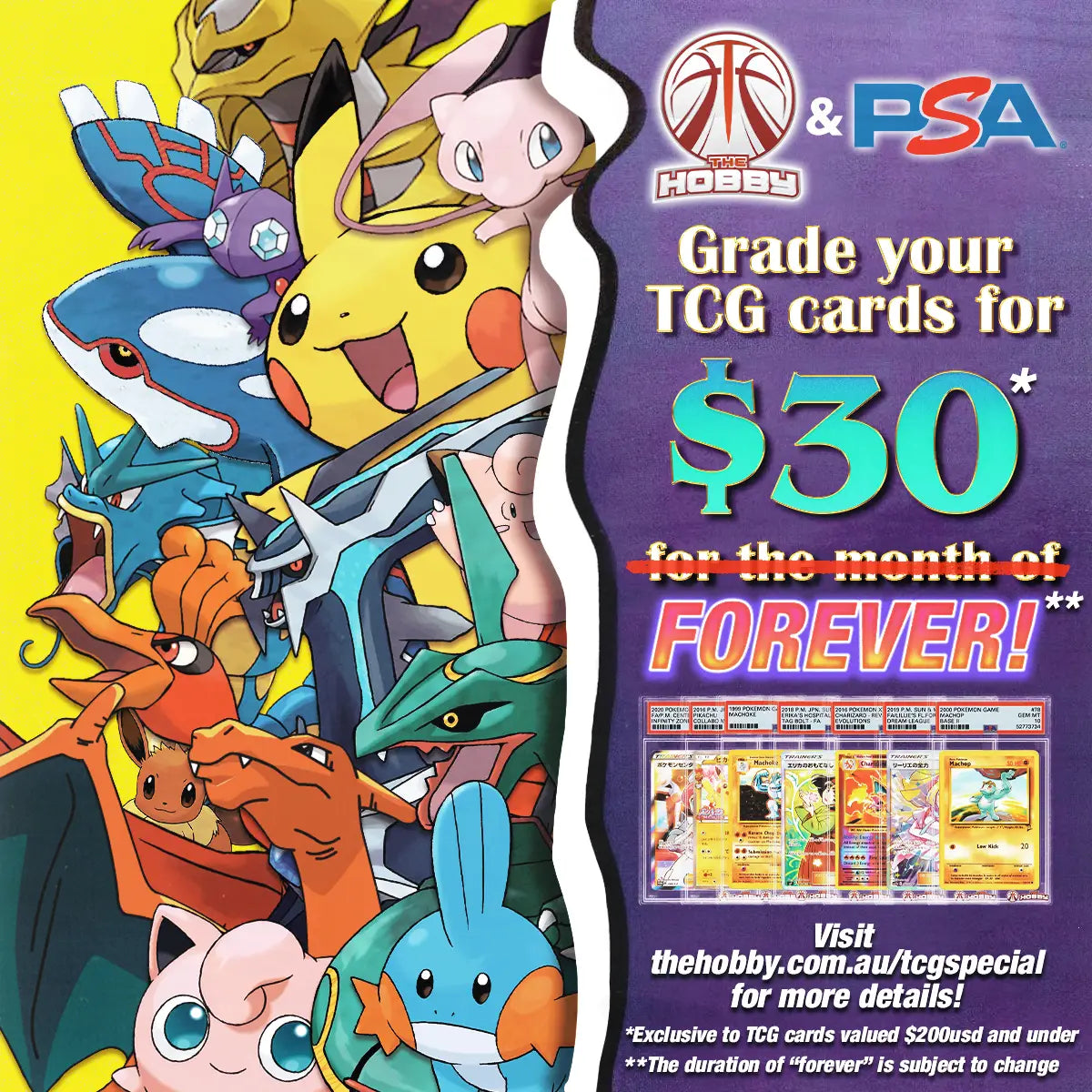 TCG Grading Special