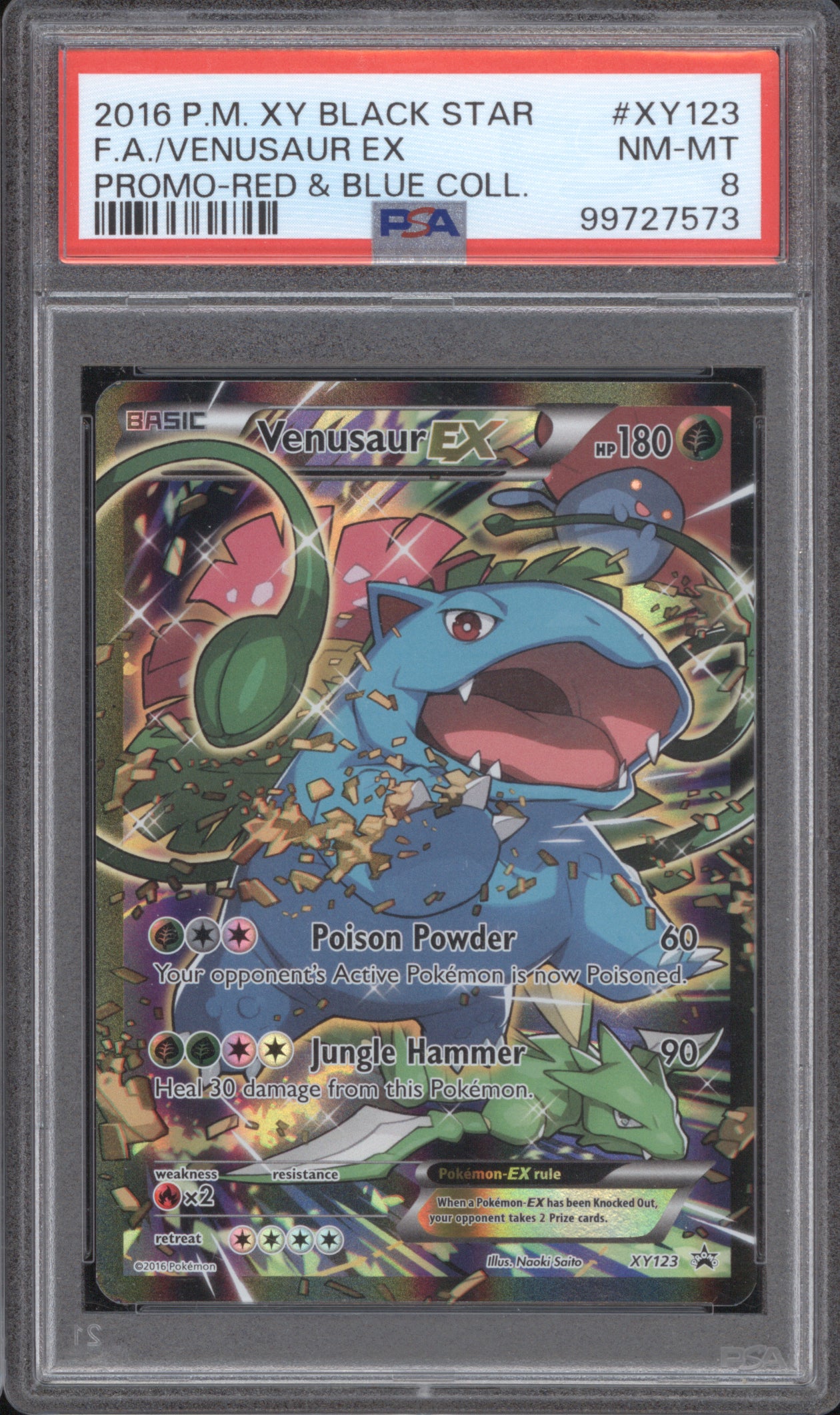 Venusaur EX 2016 Pokemon XY Black Star Promo XY123 Red & Blue Collection PSA 8