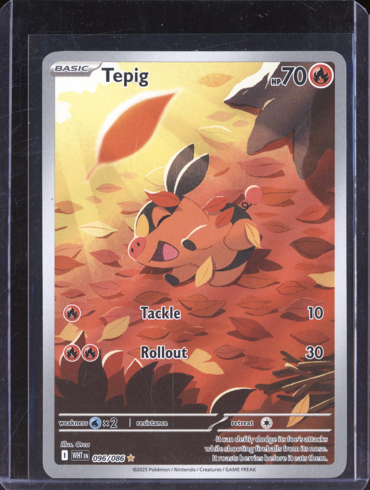 Tepig 2025 Pokemon White Flare 096/086 Illustration Rare
