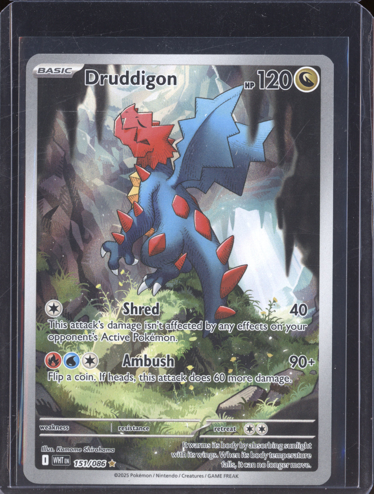 Druddigon 2025 Pokemon White Flare 151/086 Illustration Rare Druddigon 2025 Pokemon White Flare 151/086 Illustration Rare