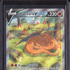 Charizard V 2022 Pokemon Sword & Shield Promos SWSH260