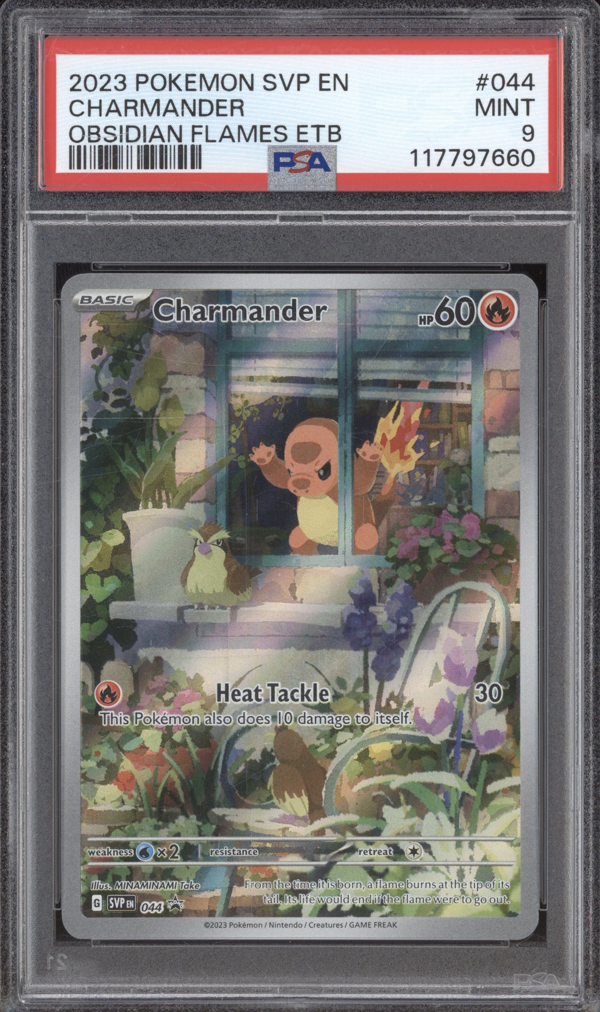 graded charmander card 2023 Pokemon SVP 044 Charmander Obsidian Flames ETB Promo PSA 9