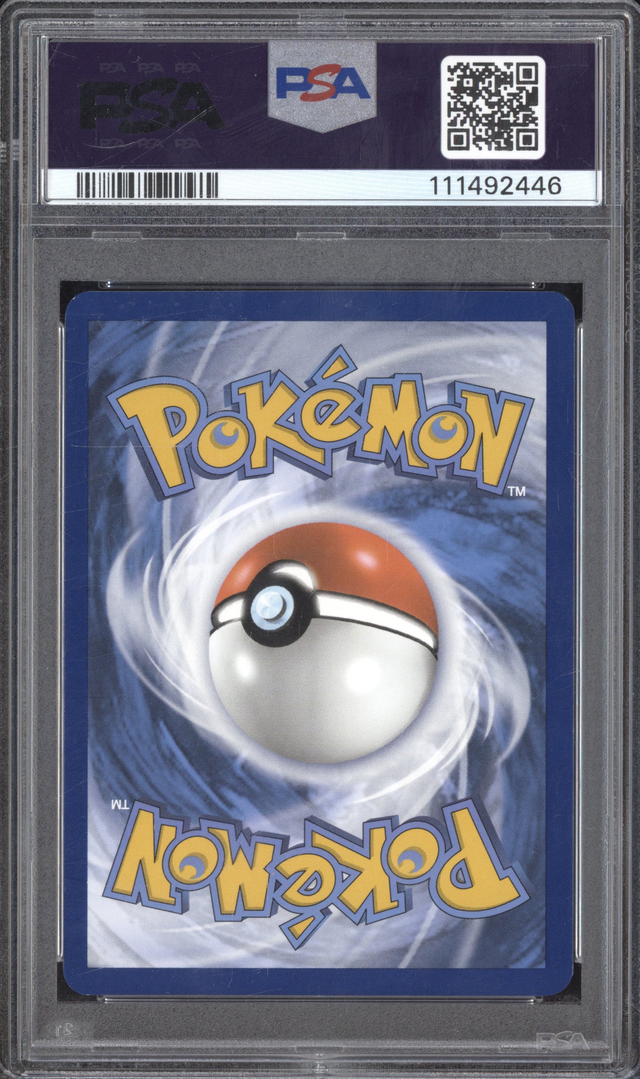 Phanpy 2024 Pokemon Surging Sparks 205/191 Illustration Rare PSA 9