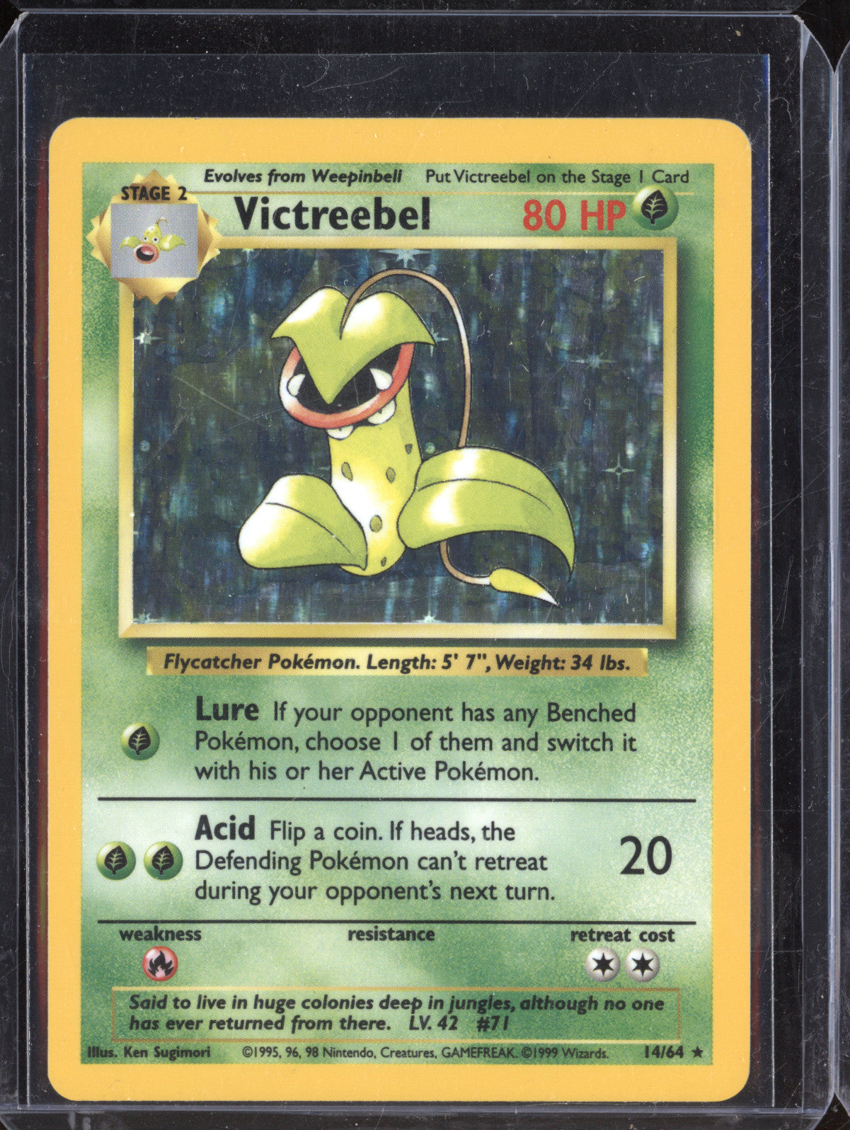 Victreebel 1999 Pokemon Jungle 14/64 Holo No Symbol Error