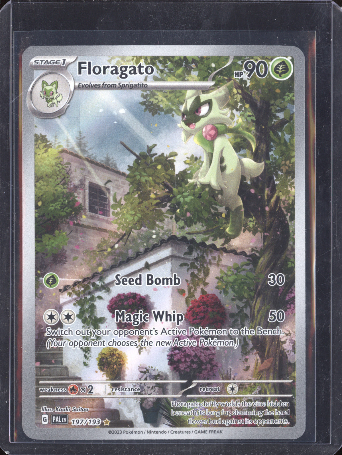 floragato pokemon card Floragato 2023 Pokemon Paldea Evolved 197/193 Illustration Rare