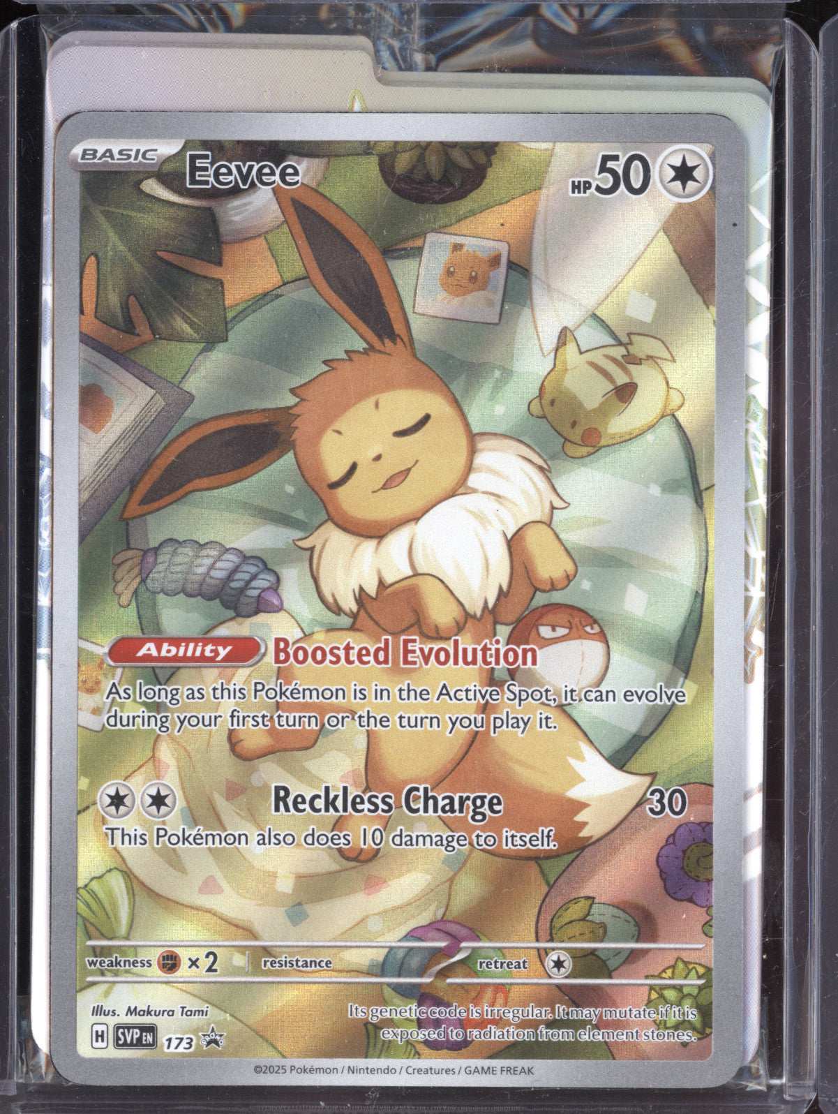 Eevee 2025 Pokemon Scarlet & Violet Promos 173 Illustration Rare ETB Promo