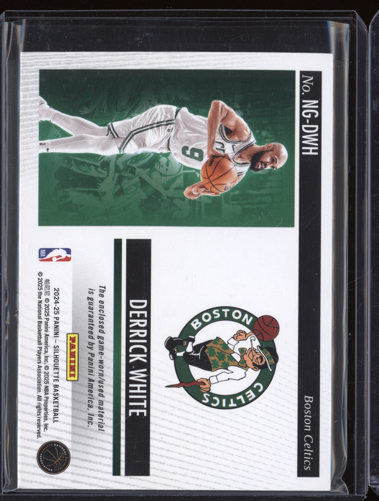 Derrick White 2024-25 Panini Silhouette NG-DWH NBA Gear