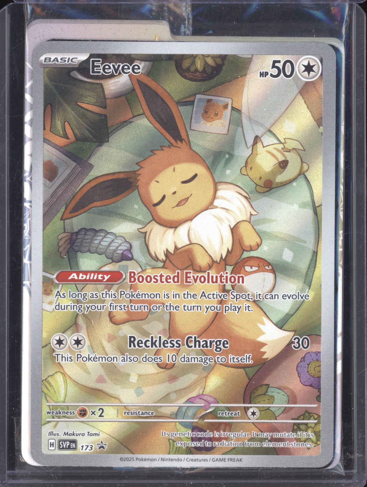 Eevee 2025 Pokemon Scarlet & Violet Promos 173 Illustration Rare ETB Promo